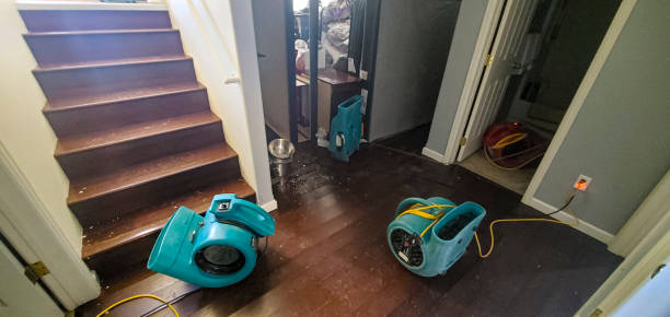 Best Carpet water damage restoration  in Ferrysburg, MI