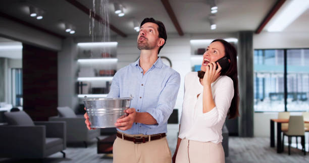 Best Professional water damage repair  in Ferrysburg, MI