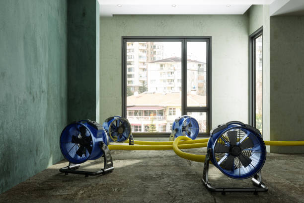 Best 24/7 water damage repair  in Ferrysburg, MI