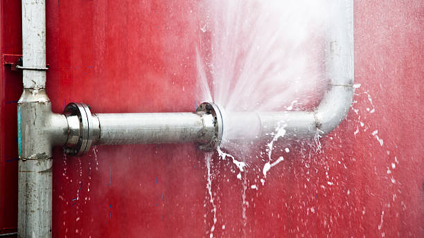Best Water damage restoration company  in Ferrysburg, MI