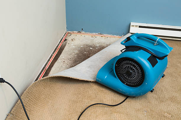 Best Water damage restoration near me  in Ferrysburg, MI